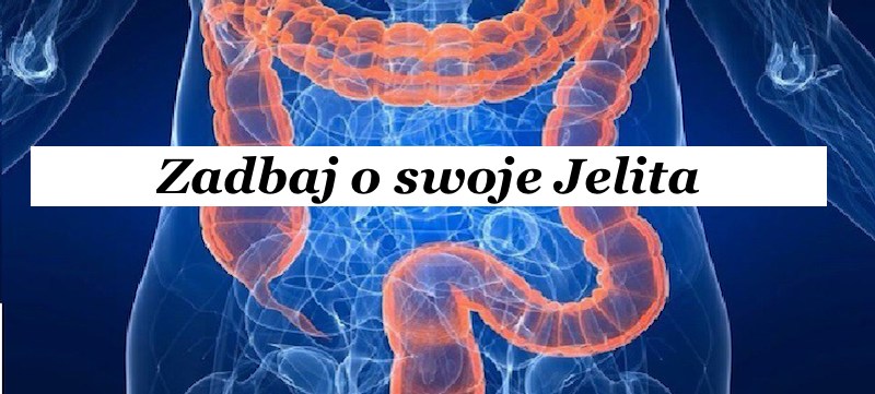 Oczyść Swoje Jelito Grube 10 Porad