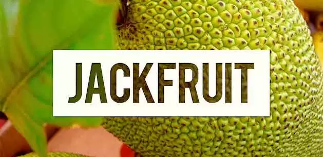 Jackfuit - owoc pełny białka - Gosia Klos